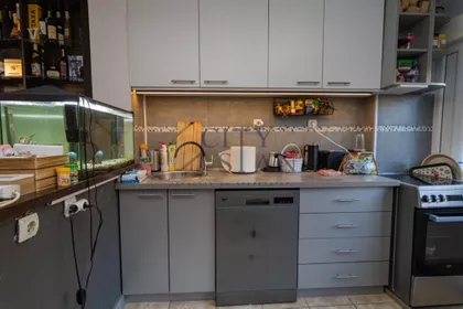 Dr Ivana Ribara | 4zida.rs