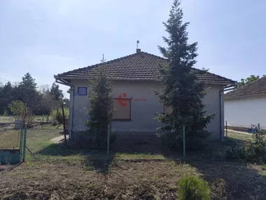 Bački Vinogradi