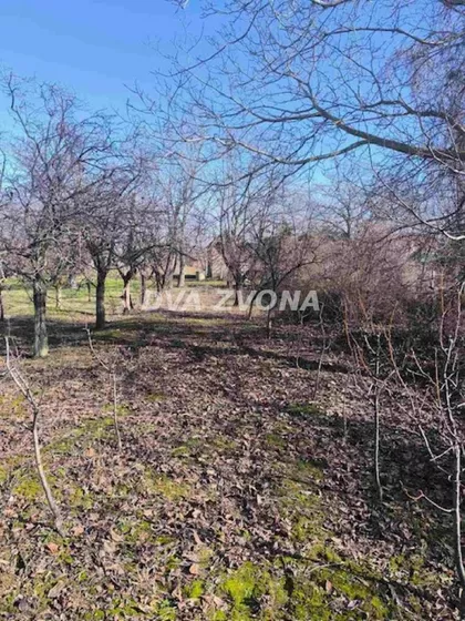 Čortanovci | 4zida.rs