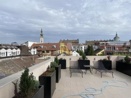 Novi Sad - Centar | 4zida.rs