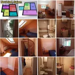 Sajmište, Gradske lokacije, Novi Sad | 4zida.rs | 4zida.rs