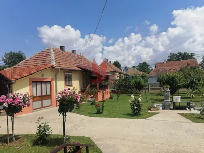 Kusadak | 4zida.rs