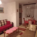 Cara Dušana, Adamovićevo Naselje, Gradske lokacije, Novi Sad | 4zida.rs | 4zida.rs