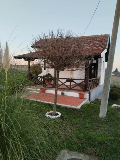 Dubočka 20 | 4zida.rs