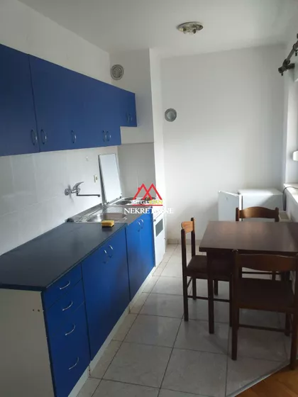 Petra Drapšina | 4zida.rs