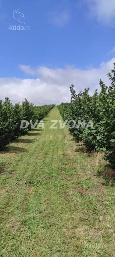 Poljoprivredno zemljište | 4zida