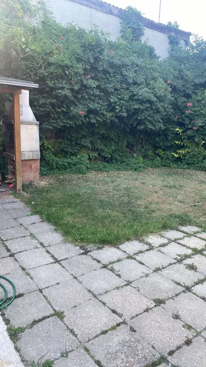 Mileševska | 4zida.rs