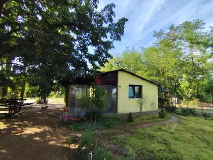 Zorka | 4zida.rs