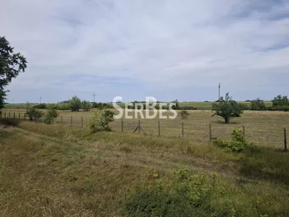Čenej | 4zida.rs