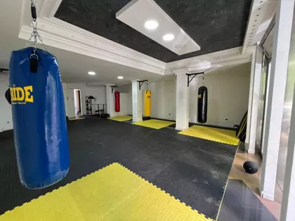 Novi Sad - Centar | 4zida.rs