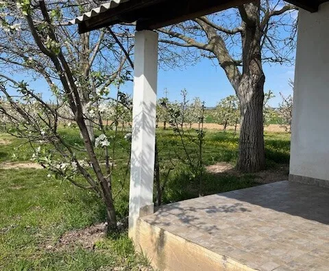 Poljoprivredno zemljište | 4zida