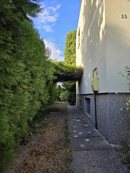 Šandora Olaha | 4zida.rs