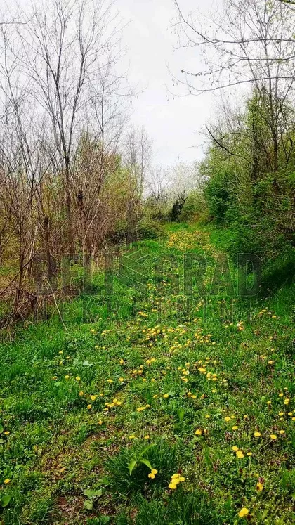 Koraćica | 4zida.rs