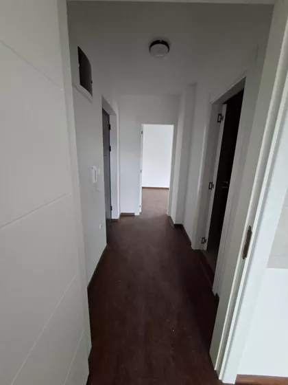 Nemanjina | 4zida.rs