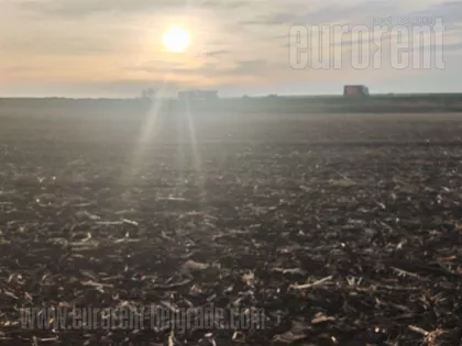 BATAJNICA AUTOPUT | 4zida.rs