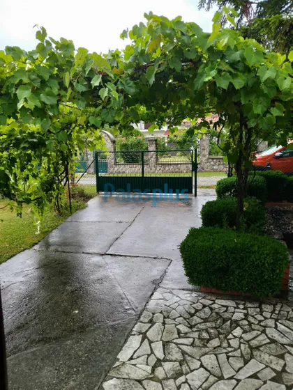 Koste Vujića | 4zida.rs