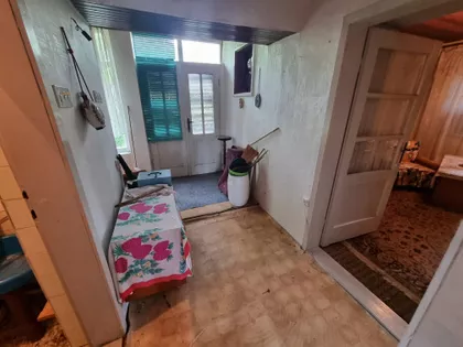 Pačir | 4zida.rs
