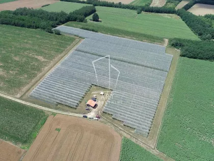 Gradske lokacije | 4zida.rs