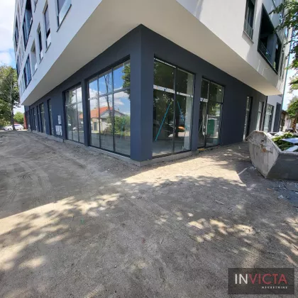 Salajka | 4zida.rs