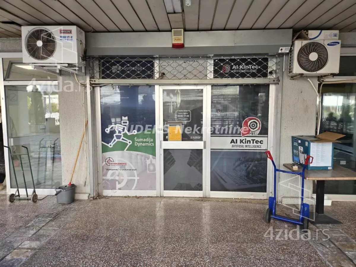 Lokal | 4zida