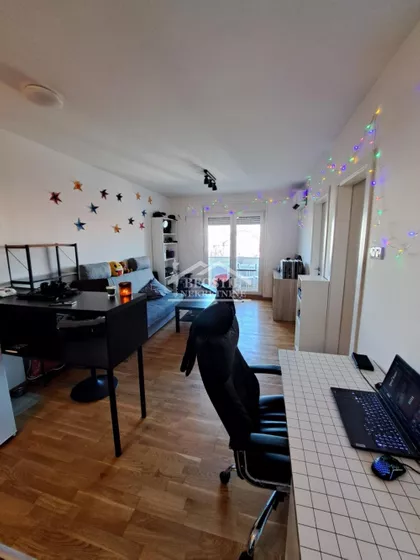 Momčila Živojinovića | 4zida.rs