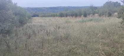 Vlaška | 4zida.rs