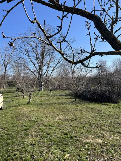 Okolne lokacije | 4zida.rs