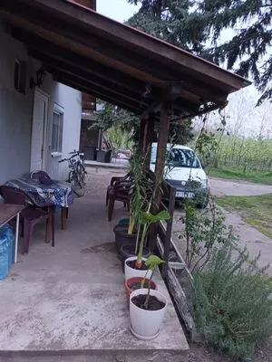 Opština Zrenjanin, Klek | 4zida.rs