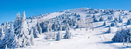 Vikend naselje | 4zida.rs