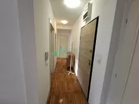 Nova Detelinara, Detelinara, Gradske lokacije, Novi Sad | 4zida.rs | 4zida.rs