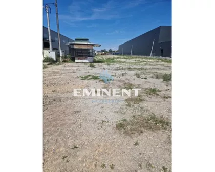 Majora Zorana Radosavljevića | 4zida.rs