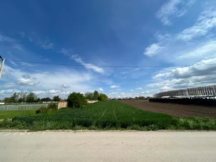 Omladinska | 4zida.rs