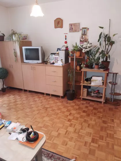 Dušanova | 4zida.rs
