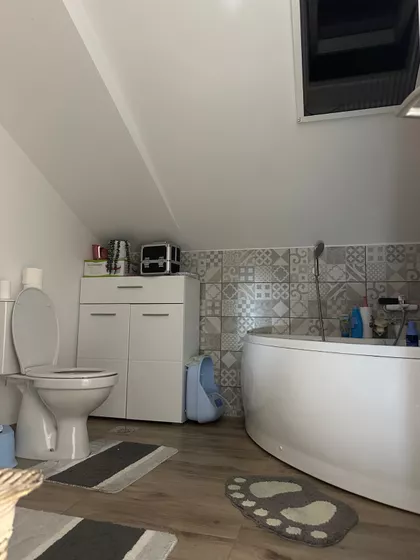 Pelisterski Prosek 54i | 4zida.rs
