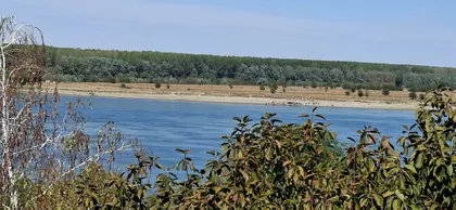 Ladnog Izvora | 4zida.rs