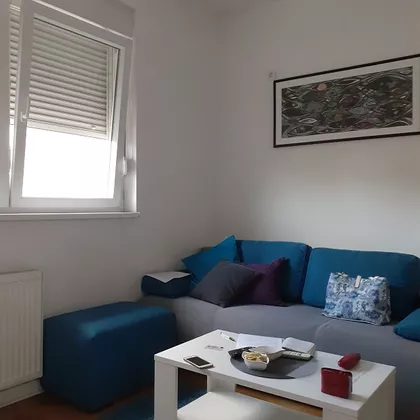 VOJVODE MICKA KRSTICA | 4zida.rs