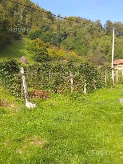 Plac | 4zida