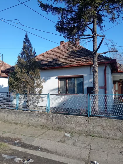 Pap Pavla | 4zida.rs