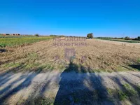 Klisa, Gradske lokacije, Novi Sad | 4zida.rs