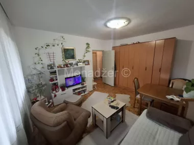 Sretena Mladenovica Mike