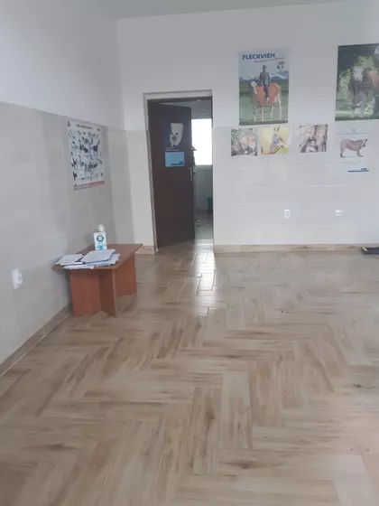 Kralja Petra I Karađorđevića 48a | 4zida.rs