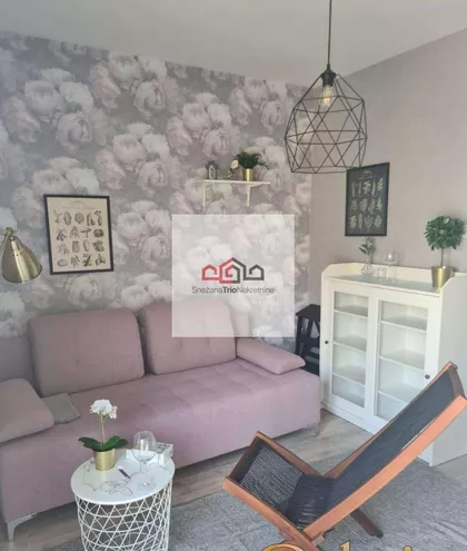 Novi Sad - Centar | 4zida.rs