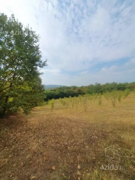 Plac | 4zida
