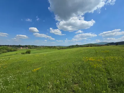 Gornja Trešnjevica | 4zida.rs