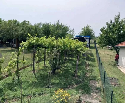 Moše Pijade | 4zida.rs