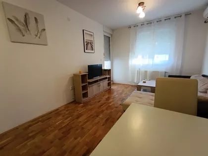 Dr Svetislava Kasapinovića | 4zida.rs