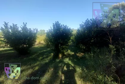 Umčari | 4zida.rs