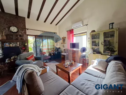 Kneginje Zorke | 4zida.rs