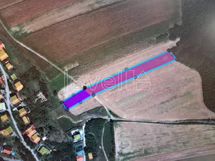 Bukovac | 4zida.rs
