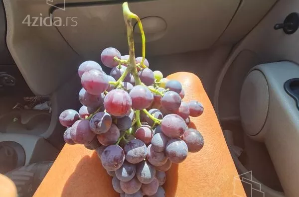 Poljoprivredno zemljište | 4zida